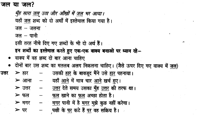 NCERT Solutions for Class 3 Hindi Chapter-13 मिर्च का मज़ा 2