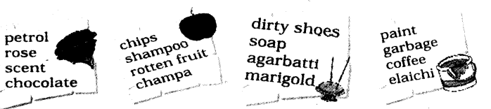 NCERT Solutions for Class 4 English Unit-2 Chapter 3 Noses Lets Write Q3