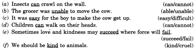 NCERT Solutions for Class 4 English Unit-6 Chapter 12 Word Building Q2
