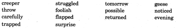 NCERT Solutions for Class 5 English Unit 2 Chapter 2 Flying Together 6