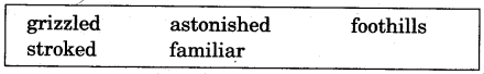 NCERT Solutions for Class 5 English Unit 5 Chapter 2 Rip Van Winkle 3