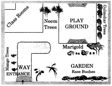 NCERT Solutions for Class 5 English Unit 9 Chapter 2 Around The World 3