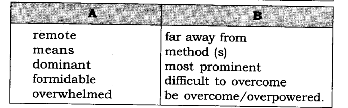 NCERT Solutions for Class 8 English Honeydew Chapter 5 The Summit Within Page 82 Q3.1