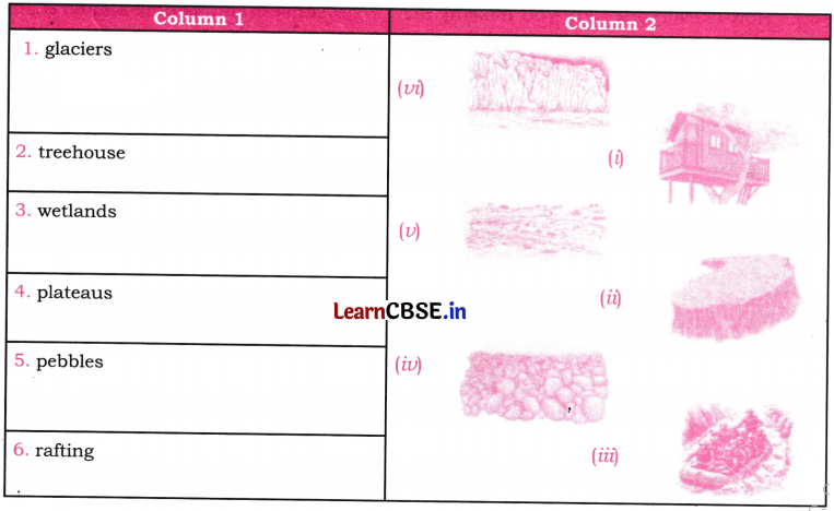 North South East West Question Answer Class 7 English Poorvi Chapter 9 4