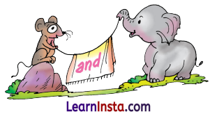 Out in the Garden Class 3 Question Answer NCERT Solutions Class 3 English Chapter 4 6