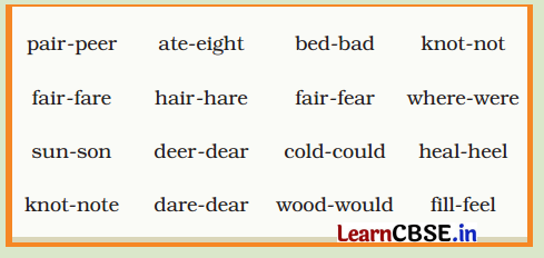 Papa’s Spectacles Class 5 Question Answer English Santoor Chapter 1 7