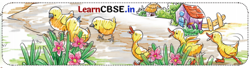 Sarangi Hindi Book Class 1 Solutions Chapter 14 बरखा और मेघा 1