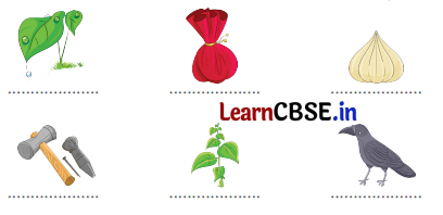 Sarangi Hindi Book Class 1 Solutions Chapter 15 होली 5