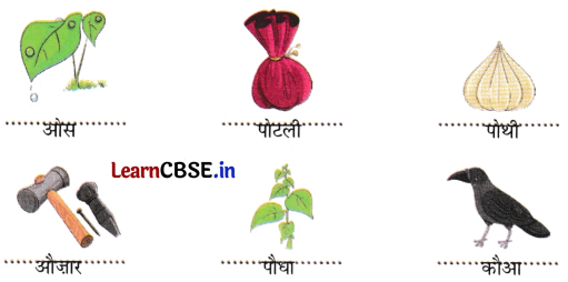 Sarangi Hindi Book Class 1 Solutions Chapter 15 होली 9