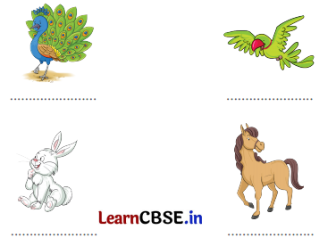 Sarangi Hindi Book Class 1 Solutions Chapter 18 कितनी प्यारी है ये दुनिया 3