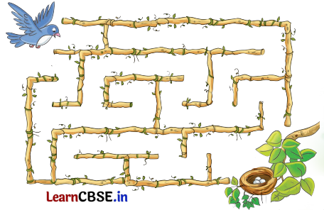 Sarangi Hindi Book Class 2 Solutions Chapter 13 तालाब 2