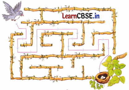 Sarangi Hindi Book Class 2 Solutions Chapter 13 तालाब 6