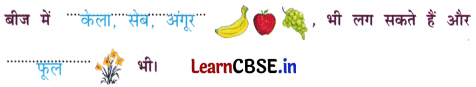 Sarangi Hindi Book Class 2 Solutions Chapter 14 बीज 5
