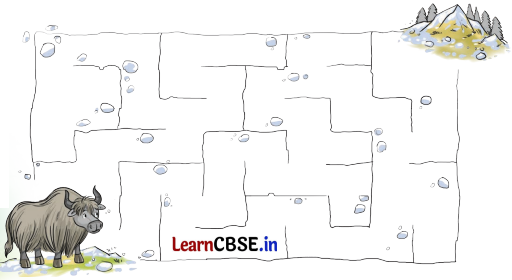 Sarangi Hindi Book Class 2 Solutions Chapter 18 शेर और चूहे की दोस्ती 6