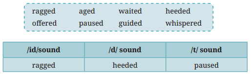 Somebody’s Mother Question Answer Class 8 English Poorvi Chapter 5 8
