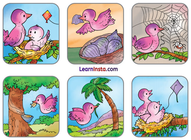 Talking Toys Class 3 Question Answer NCERT Solutions Class 3 English Chapter 5 13