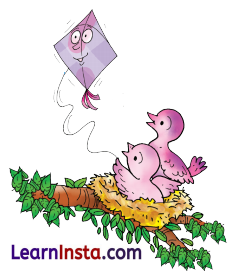 Talking Toys Class 3 Question Answer NCERT Solutions Class 3 English Chapter 5 14