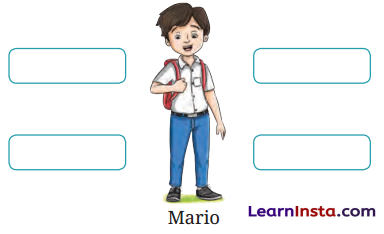 The Chair Class 6 Question Answer NCERT Solutions 6