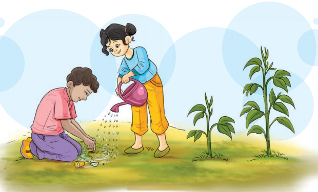 The Cherry Tree Question Answer Class 8 English Poorvi Chapter 10 1