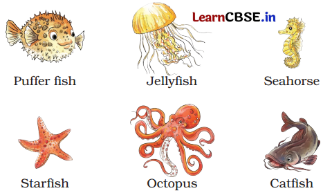 The Frog Class 5 Question Answer English Santoor Chapter 5 6