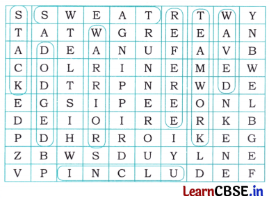 The Lagori Champions Class 4 Question Answer English Santoor Chapter 8 17