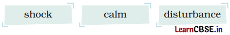 The Lagori Champions Class 4 Question Answer English Santoor Chapter 8 5
