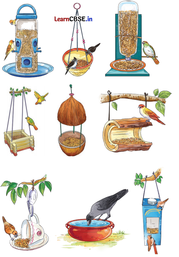 The Wise Parrot Class 5 Question Answer English Santoor Chapter 4 4