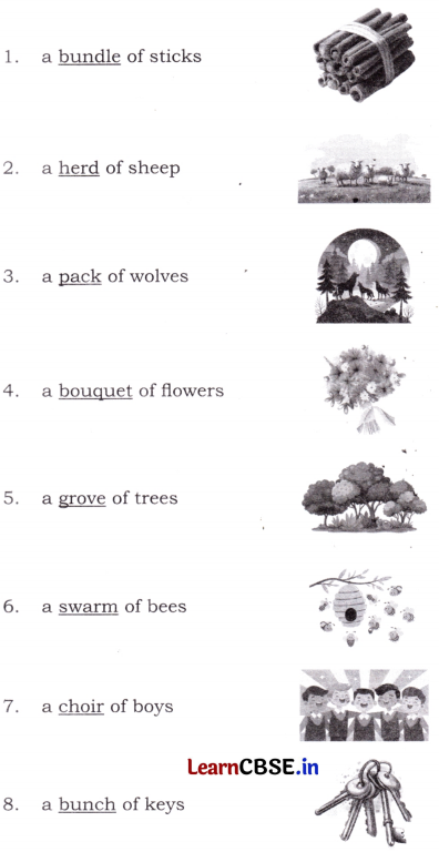 Together We Can Class 4 Question Answer English Santoor Chapter 1 14