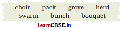 Together We Can Class 4 Question Answer English Santoor Chapter 1 3