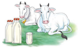Verghese Kurien- I Too Had A Dream Question Answer Class 8 English Poorvi Chapter 6 8