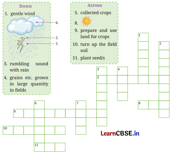 Waiting for the Rain Question Answer Class 8 English Poorvi Chapter 12 2