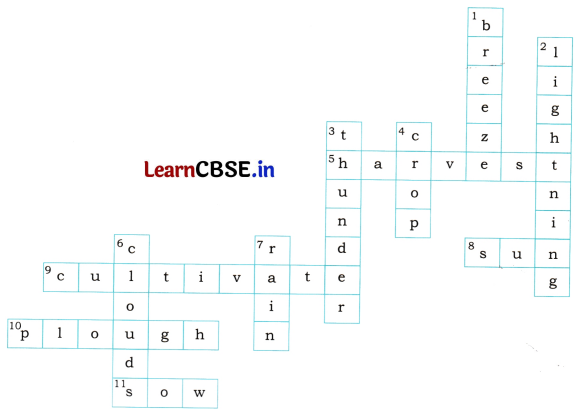 Waiting for the Rain Question Answer Class 8 English Poorvi Chapter 12 3