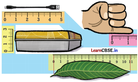 A Peek Beyond the Point Class 7 Solutions Ganita Prakash Maths Chapter 3 Page 49 Q1