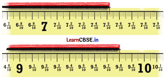 A Peek Beyond the Point Class 7 Solutions Ganita Prakash Maths Chapter 3 Page 54 Q2.1
