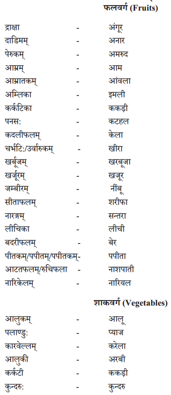 Abhyasvan Bhav Class 9 Solutions परिशिष्टम् - 1 I1