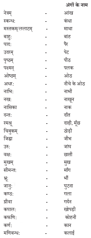 Abhyasvan Bhav Class 9 Solutions परिशिष्टम् - 1 I3