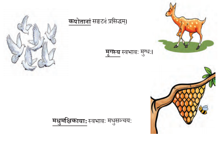 Abhyasvan Bhav Sanskrit Class 9 Solutions Chapter 6 कारकोपपदविभक्तिः 66