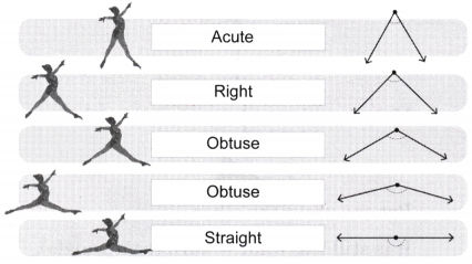 Angles as Turns Class 5 Solutions Question Answer Maths Chapter 3 13
