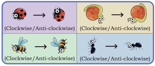 Angles as Turns Class 5 Solutions Question Answer Maths Chapter 3 41