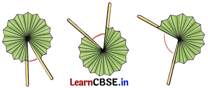 Angles as Turns Class 5 Solutions Question Answer Maths Chapter 3 5