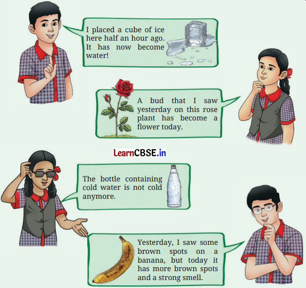 Changes Around Us Physical and Chemical Class 7 Questions and Answers Science Chapter 5-1