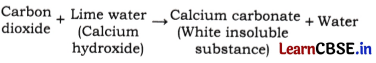 Changes Around Us Physical and Chemical Class 7 Questions and Answers Science Chapter 5-12