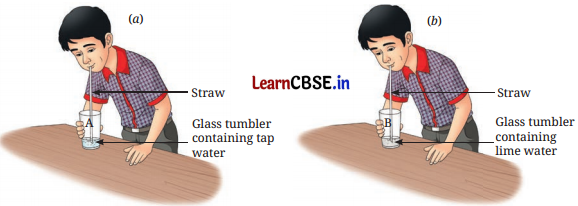 Changes Around Us Physical and Chemical Class 7 Questions and Answers Science Chapter 5-5