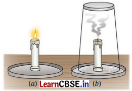 Changes Around Us Physical and Chemical Class 7 Questions and Answers Science Chapter 5-7
