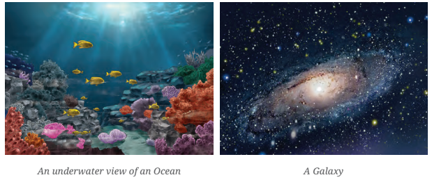 Class 6 Science Chapter 1 The Wonderful World of Science Question Answer 2