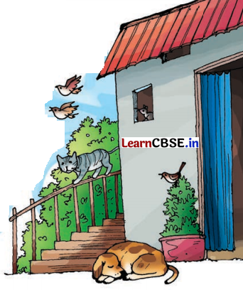 Class 8 Hindi Chapter 2 Question Answer दो गौरैया 12