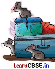 Class 8 Hindi Chapter 2 Question Answer दो गौरैया 16