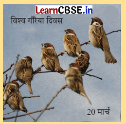 Class 8 Hindi Chapter 2 Question Answer दो गौरैया 18