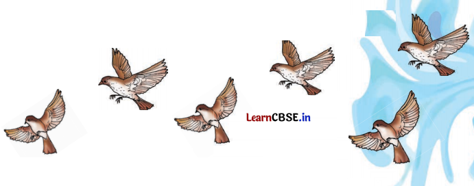 Class 8 Hindi Chapter 2 Question Answer दो गौरैया 6