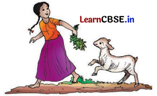 Class 8 Hindi Chapter 6 Question Answer एक टोकरी भर मिट्टी 9